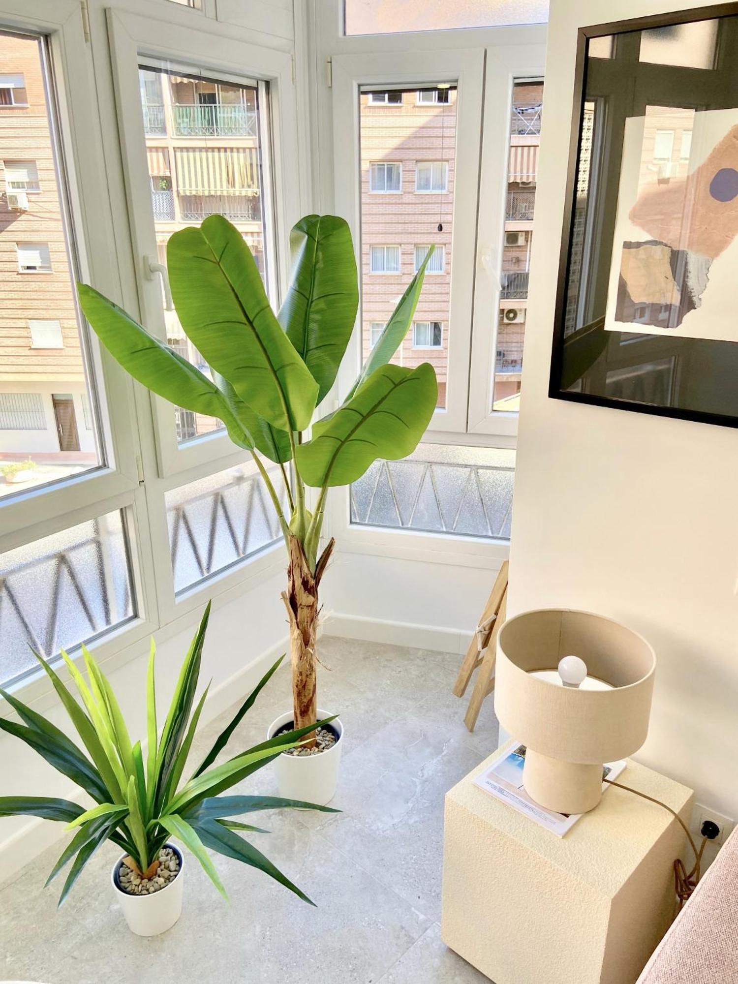 Amplio Apartamento En El Centro De Málaga Extérieur photo